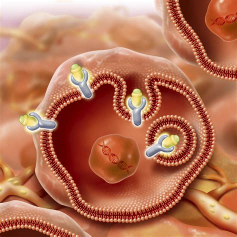 advance  radionuclide therapy  late stage cancer