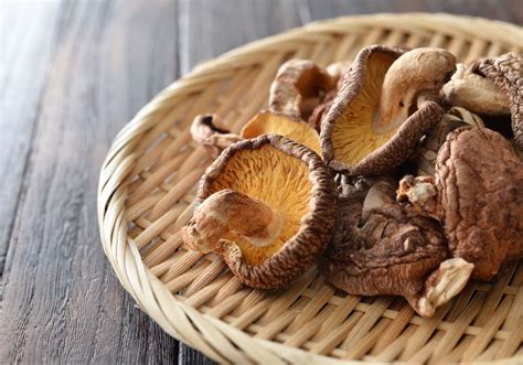 Essiccare i funghi