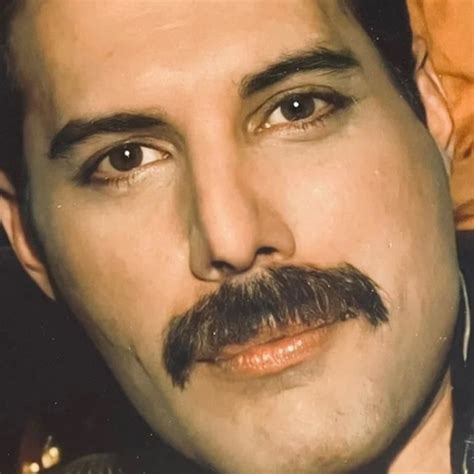 FREDDIE MERCURY | Accessories | Freddie Mercury 8x Framed Photo ...