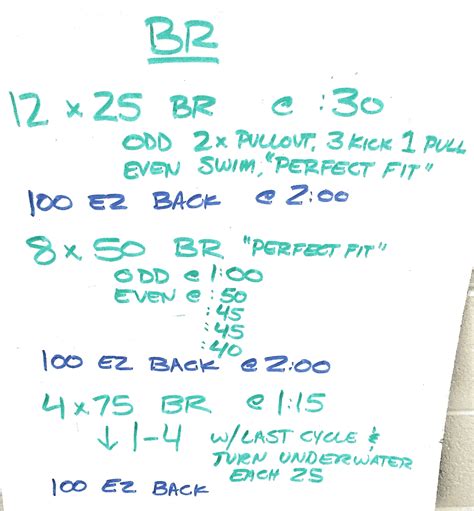 swimming wizard breaststroke precision set