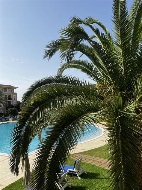 Kaja🍒 on Twitter: "good morning https://t.co/iEywVouT5N" / Twitter