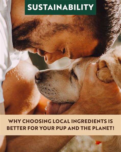 The Benefits of Locally Sourced Dog Treats 🌎 – Northern Dog Biscuit Bakery