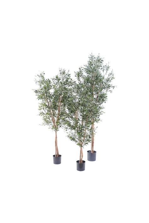 artificial olive tree cm cm multi trunk replica plants