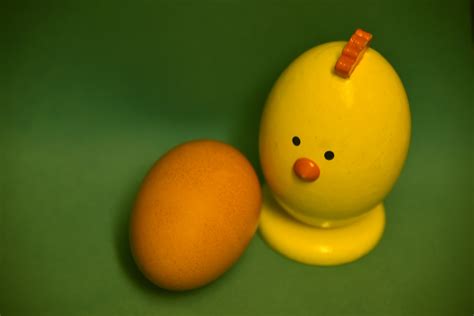 Yellow Chick Brown Egg Free Stock Photo - Public Domain Pictures