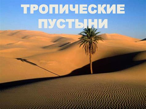 Тропические пустыни - презентация онлайн