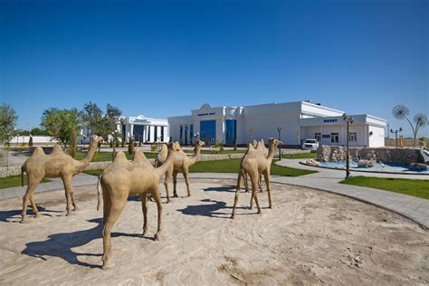 Muynak Travel - Things to Do and Tours