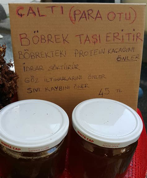 ÇALTI OTU VE BÖBREK – Tekin Akpolat