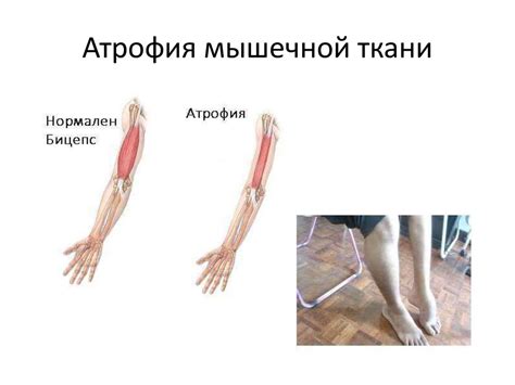 Т3_Ткани - презентация онлайн