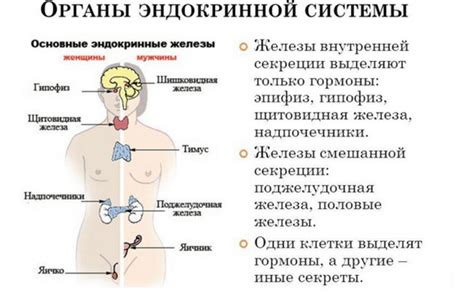 Гинеколог-эндокринолог - «Мой Доктор»