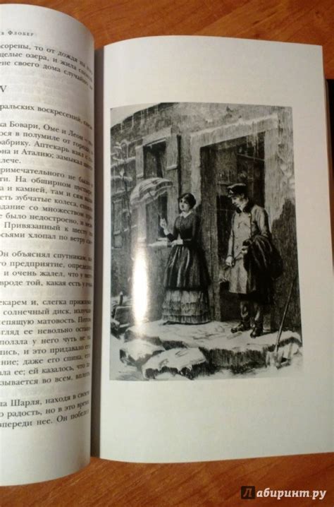 Книга: Госпожа Бовари. Воспитание чувств - Гюстав Флобер. Купить книгу ...