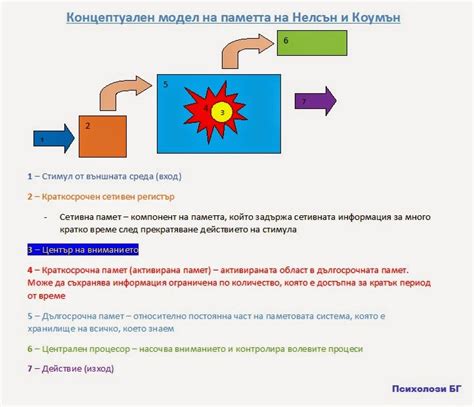 Памет – видове и основни процеси ~ Психолози БГ