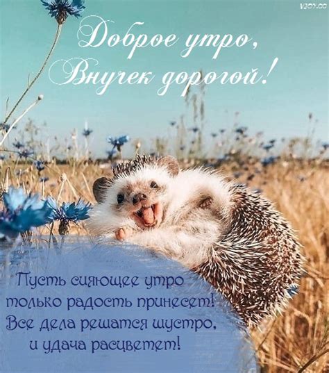 Красивые картинки - Доброе утро, внук! (30 фото)