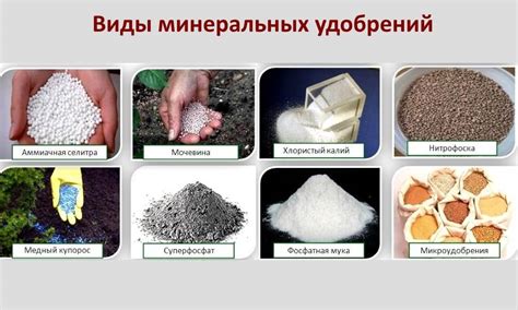 Минеральные удобрения: это какие - названия, виды и их характеристика ...