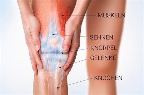 Collagen Vital | 30 Tage testen | Muskeln und Gelenke