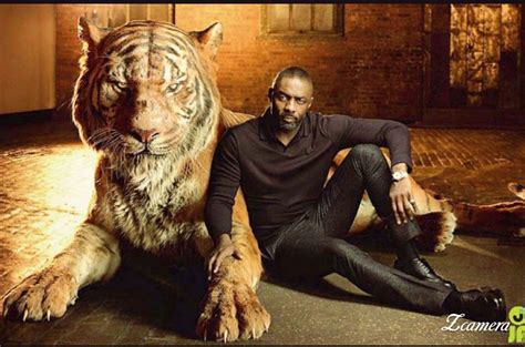Cats Movie Idris Elba - Movie Wallpaper