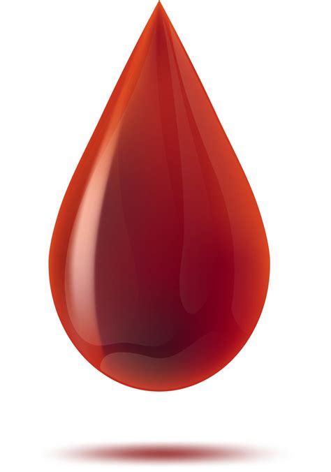 The Anatomy Of A Blood Drop