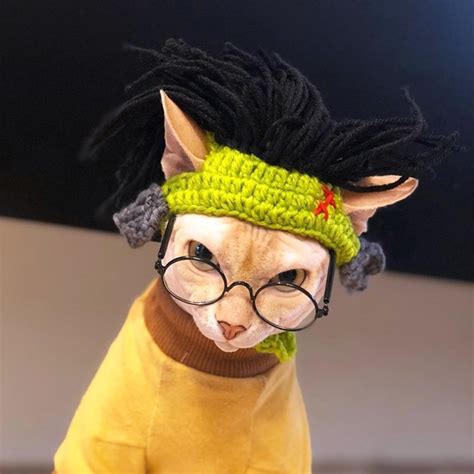 NACOCO Disfraz de Halloween para cosplay, gato, gatito, perro pequeño