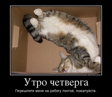 Картикни с добрым утром четверга🌞