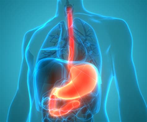 endoscopy shenandoah valley gastroenterology