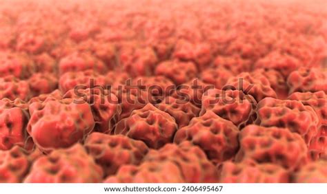 Human Body Tissue Medical Animation 3d Stock Illustration 2406495467 ...