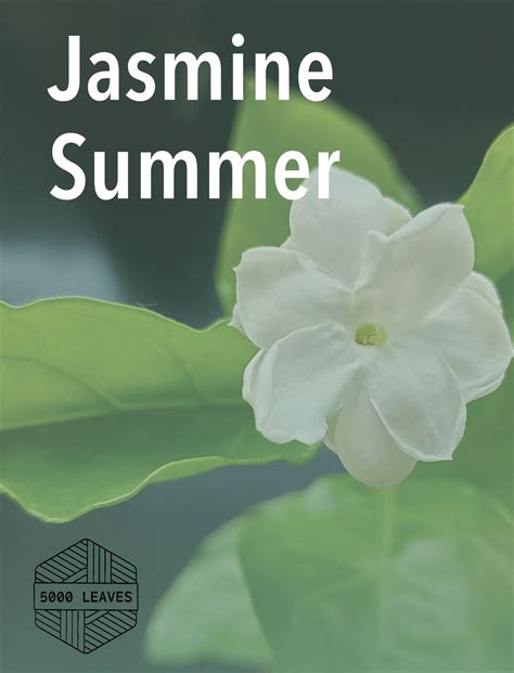 Jasmine Summer - Zen 5
