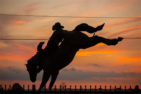 Professional Background and Updates for Suzanne Ledoux 33