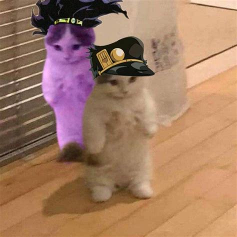 Cat Jotaro & cat Star Platinum in 2021 | Jojo's bizarre adventure anime ...
