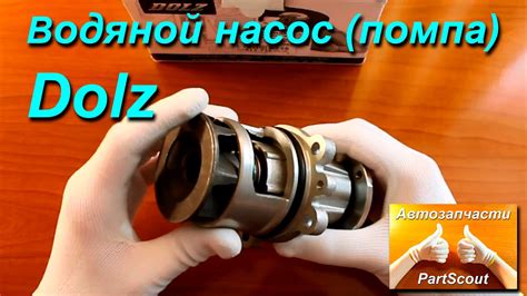 Водяной насос (помпа) Dolz отзывы - YouTube
