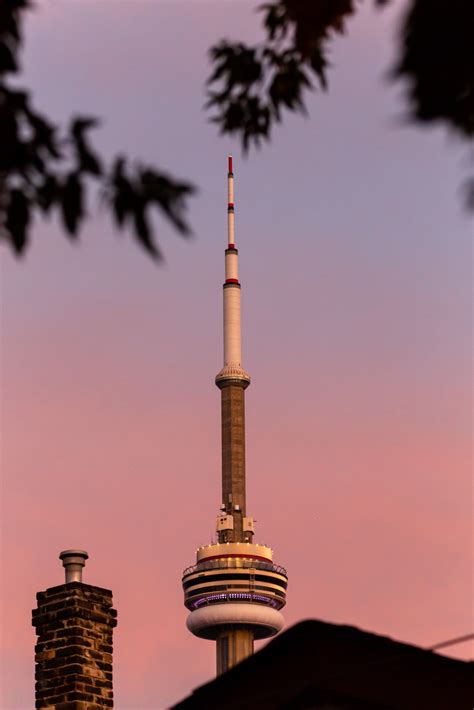 View From an Alley : r/toronto