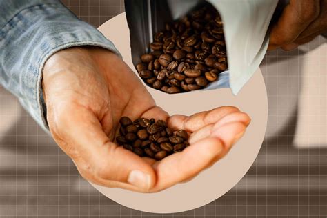 Coffee Lovers Are Currently Debating If Probiotic Coffee Actually Works - RYZE Superfoods