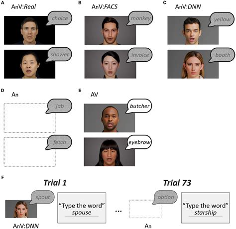 Frontiers | Synthetic faces generated with the facial action coding
