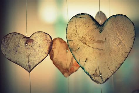 Gratis foto: Hart, Liefde, Romantiek, Valentijn - Gratis afbeelding op