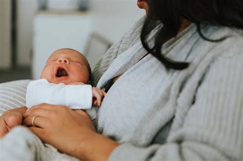 mother breastfeeding  baby royalty  photo
