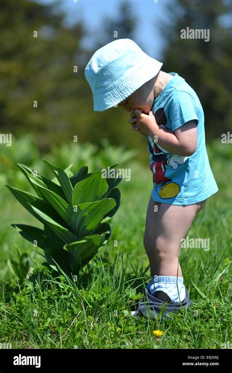 Child peeing in nature Stock Photo - Alamy