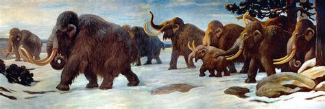 Reversing Extinction – What could the plan to resurrect the Woolly ...