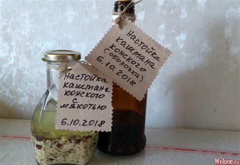 Лечебная настойка из каштана конского - здоровье, настойки, каштаны ...