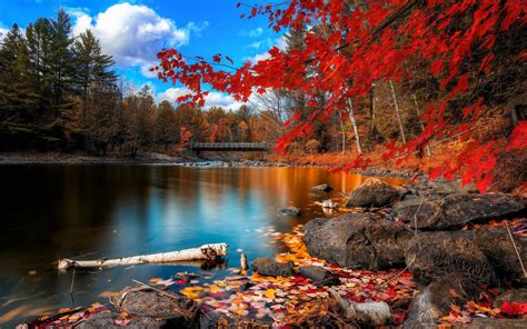 fall nature wallpapers top  fall nature backgrounds wallpaperaccess