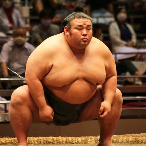 body fat percentage sumo wrestler  evelyn lowman blog
