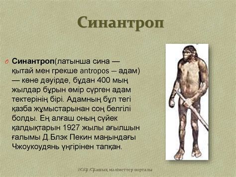 Адамның шығу тегі - презентация онлайн