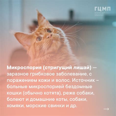 Санкт-Петербургское Государственное Бюджетное Учреждение ...