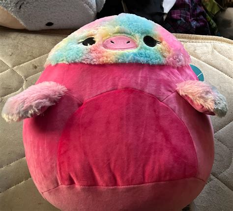 Got Abilene today I found out she’s an Ostrich and I’m in love : r