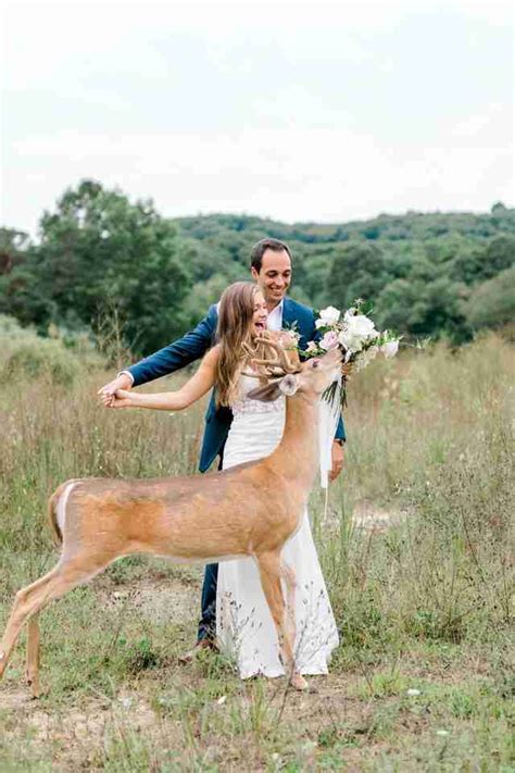 Wild Wedding Photos