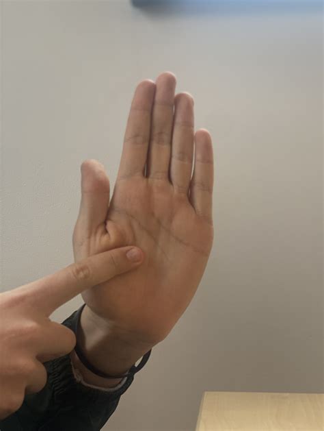 Find Offenders in Otis Michigan Using Online Search Database 9