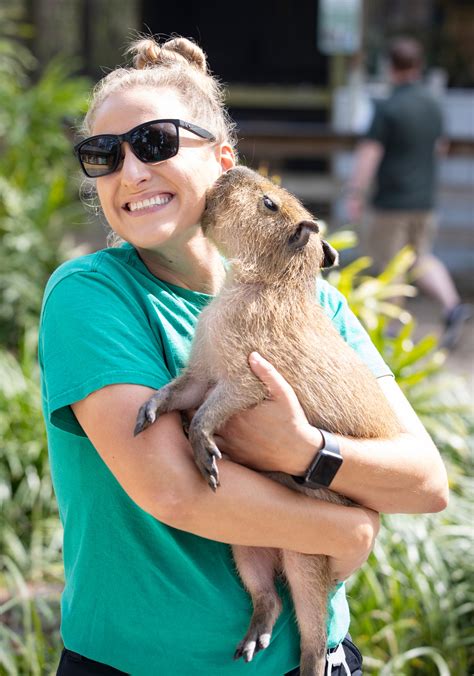 Cutest Baby Animals In The World 2022