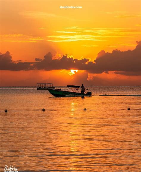 . Good night beloved Jamaica 🇯🇲... - Jamaica Experiences