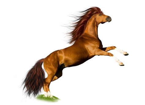 Horse Power in 2014 | CrewInspector - Crew Management Software