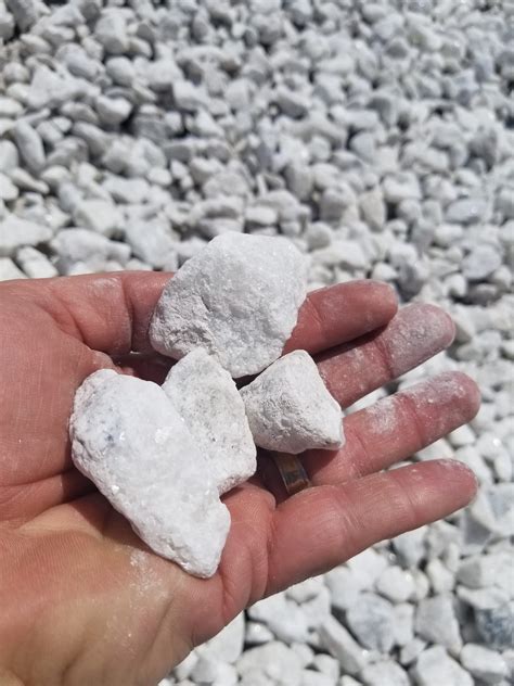 birch tree bark & stone 4