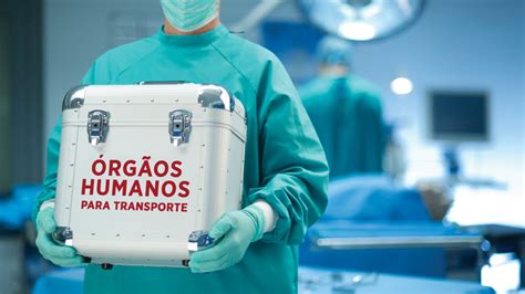 O Que É Um Transplante - Como é o transplante de órgãos no Brasil? | O Imparcial