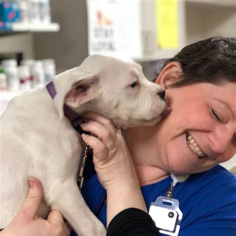 east lincoln animal hospital 10