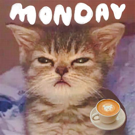 No Coffee Memes